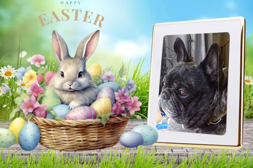 ( a 1 a Pâques Jango