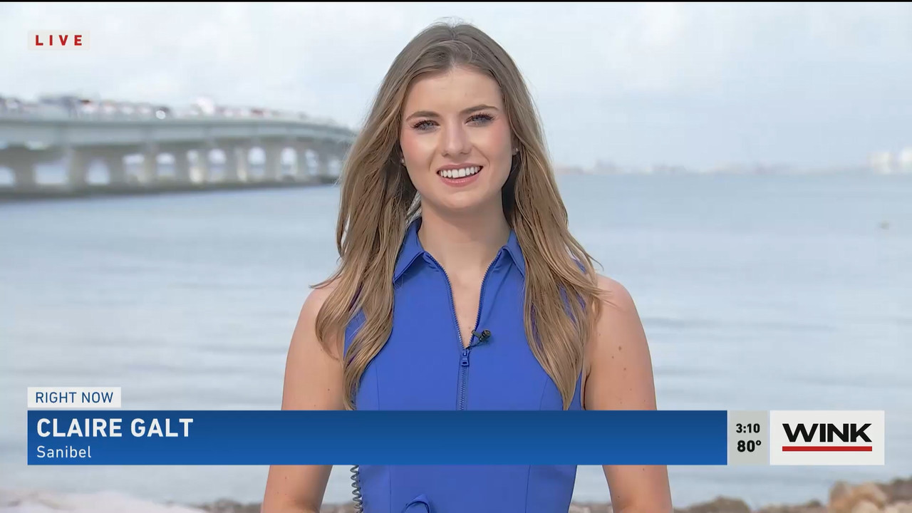 01.05 - 20.00.00 - WINK News at 3pm  ᴺᵉʷ..ts_snapshot_00.17.01.701