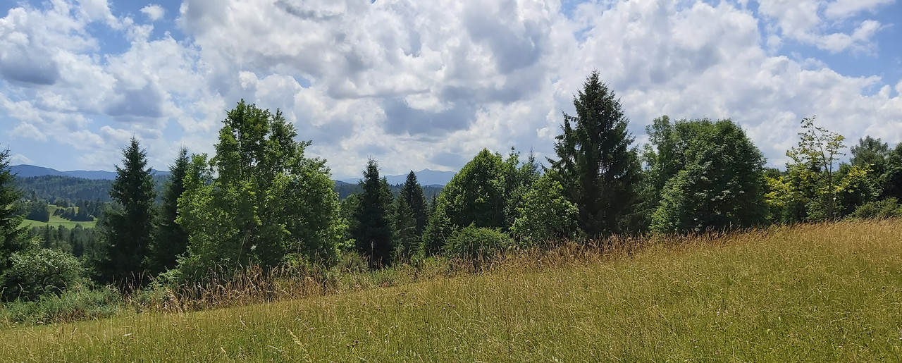 20210714-131620-c.jpg