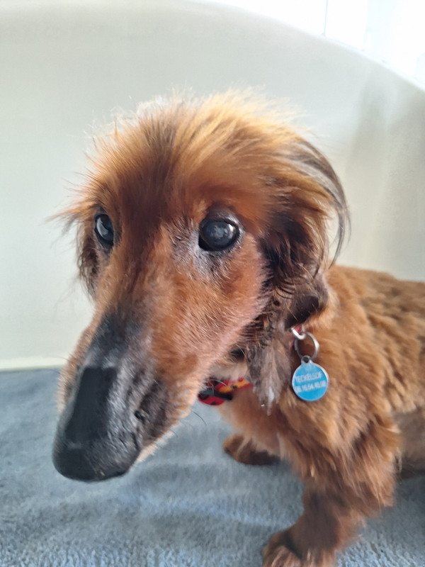 [Image: 20240321-174346.jpg]