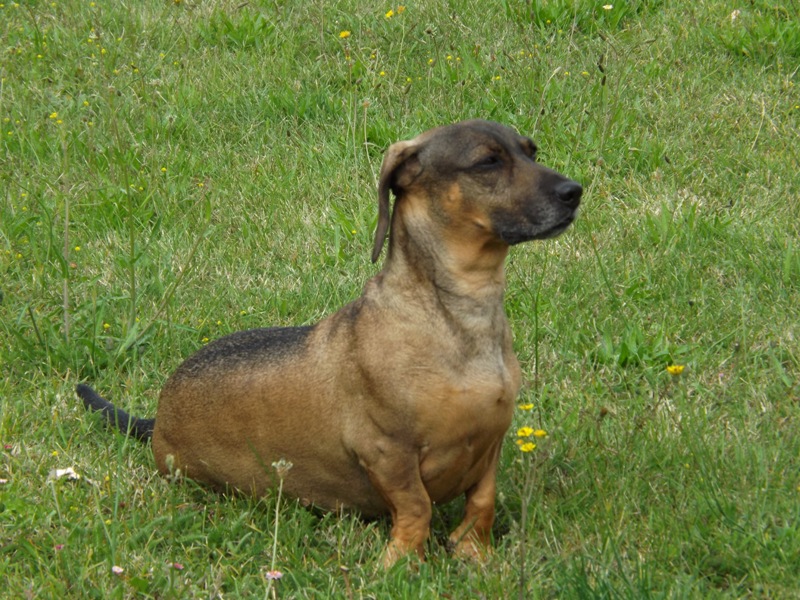 [Image: DSCF5006.jpg]