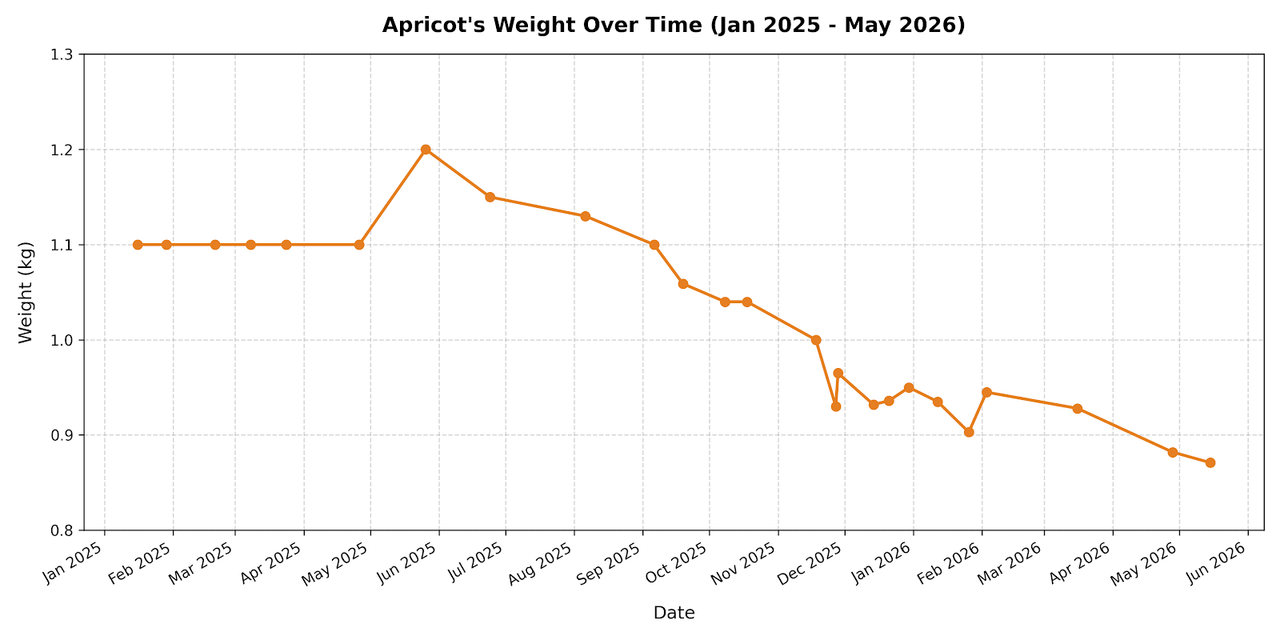 2026 05 18 Apricot weight loss