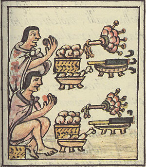 Dish of the Day - II - Page 5 Aztec-feast-5