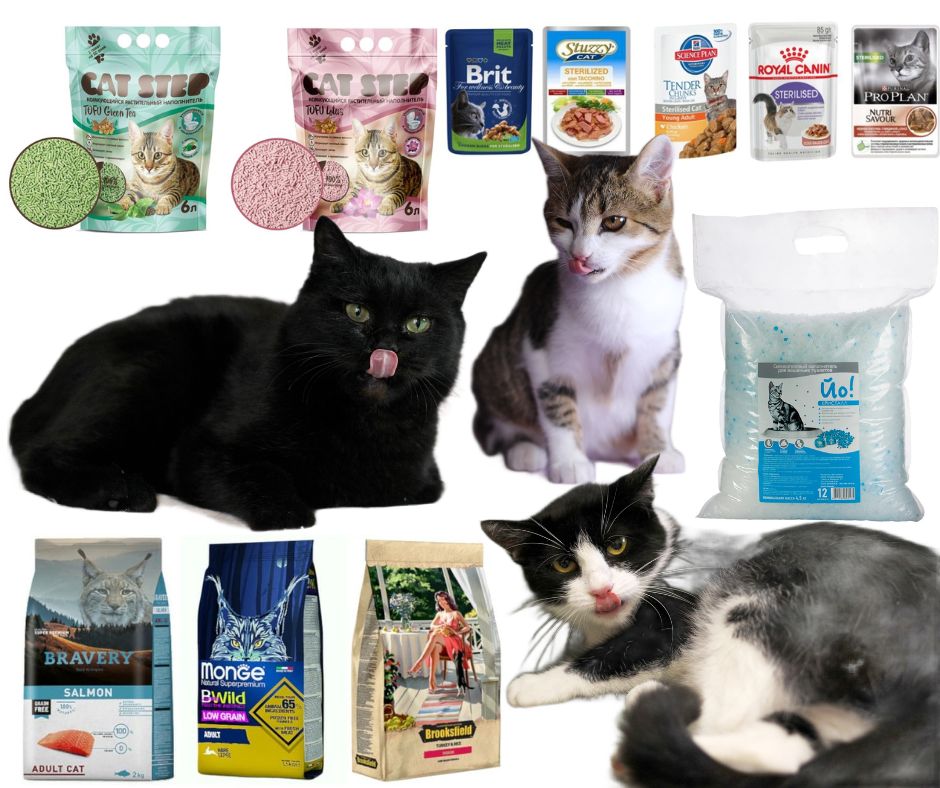 Дизайн без названия (23)