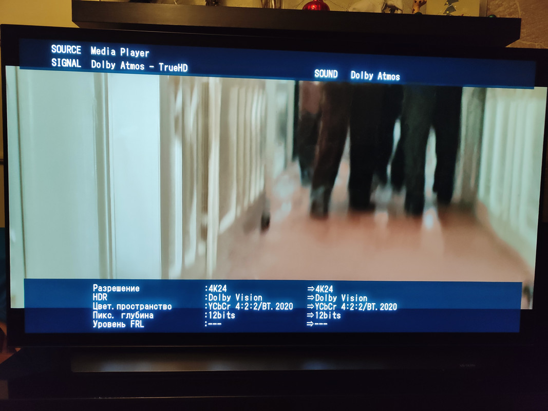 IMG20240110213715 — копия