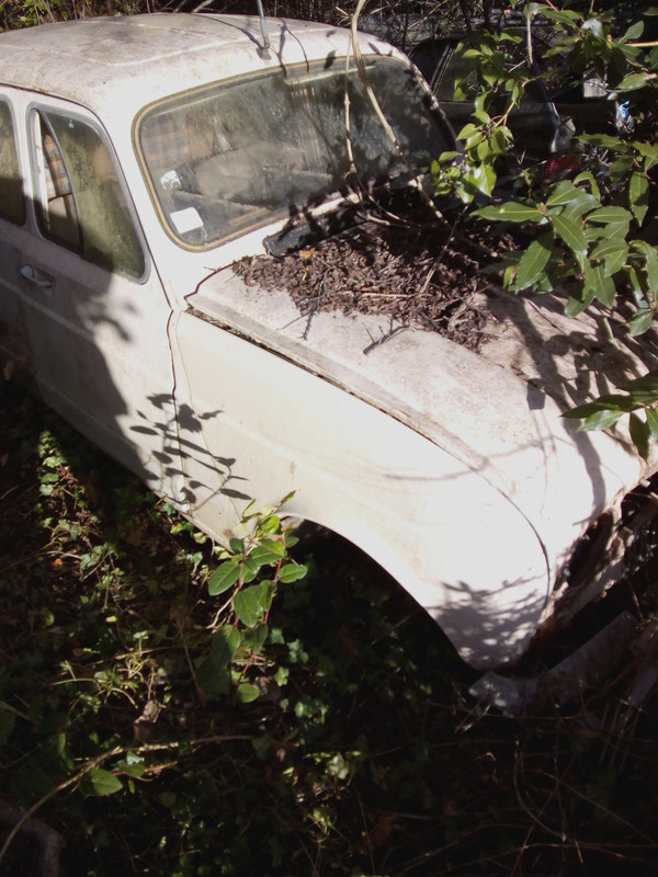 IMG-20210215-085526227