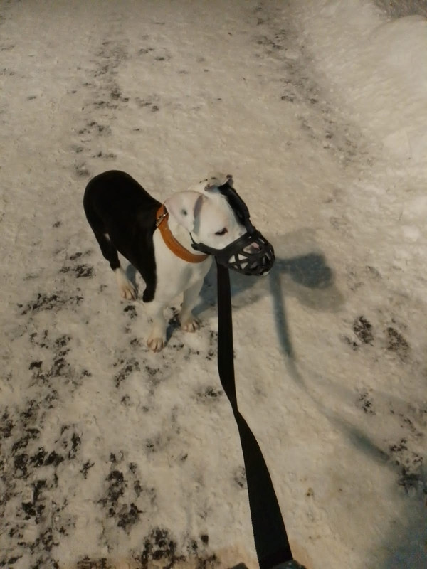 9B684334-591B-486C-A787-702AF2A5E75F