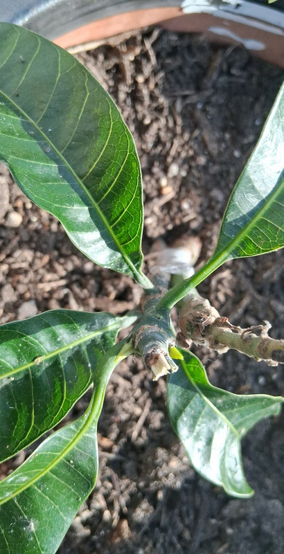 735f6d70 cf3e 4417 94b1 b2c69e7aba23