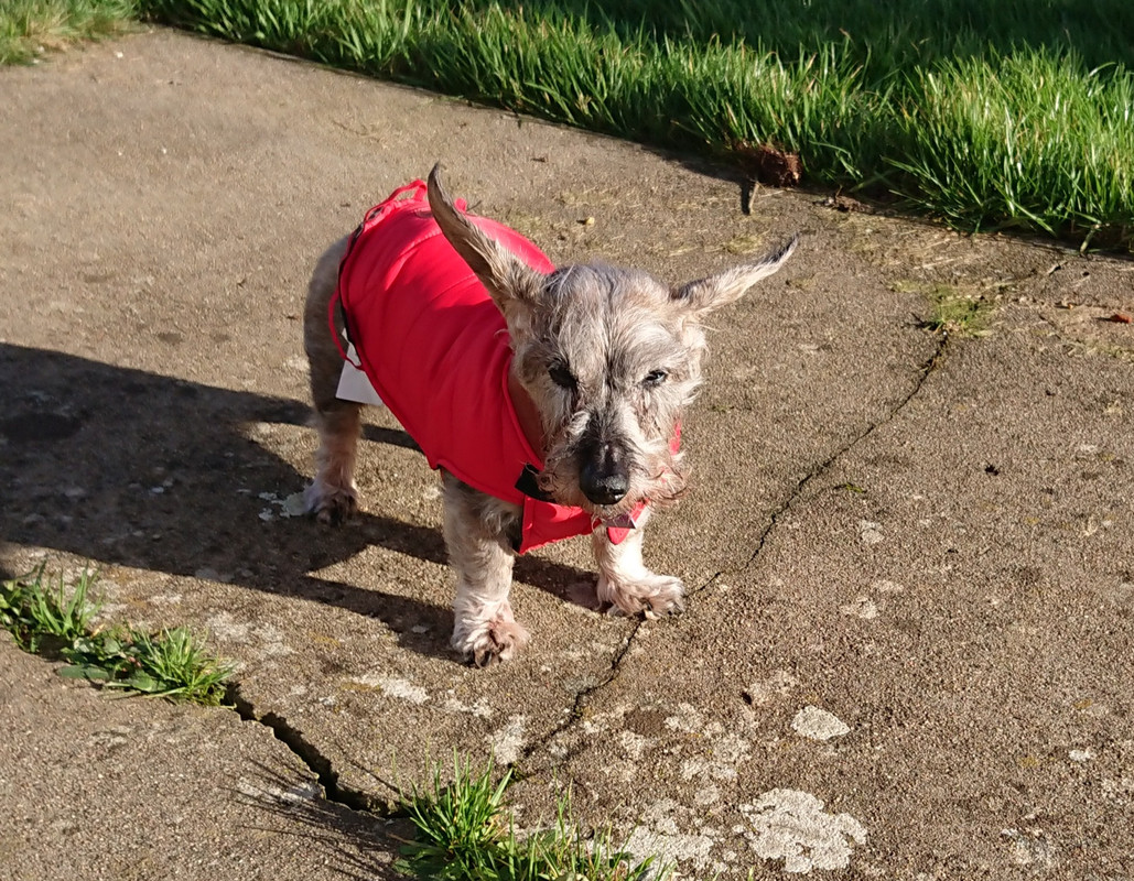 [Image: 20250107-141303.jpg]