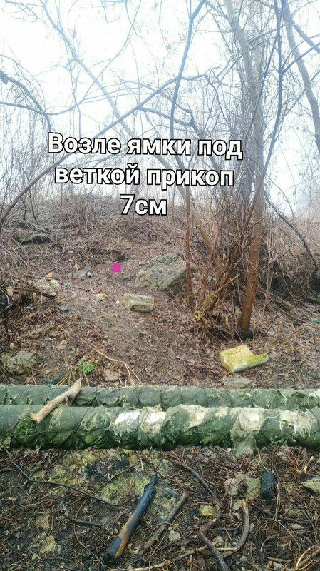 photo-2020-01-29-15-11-32 (1)