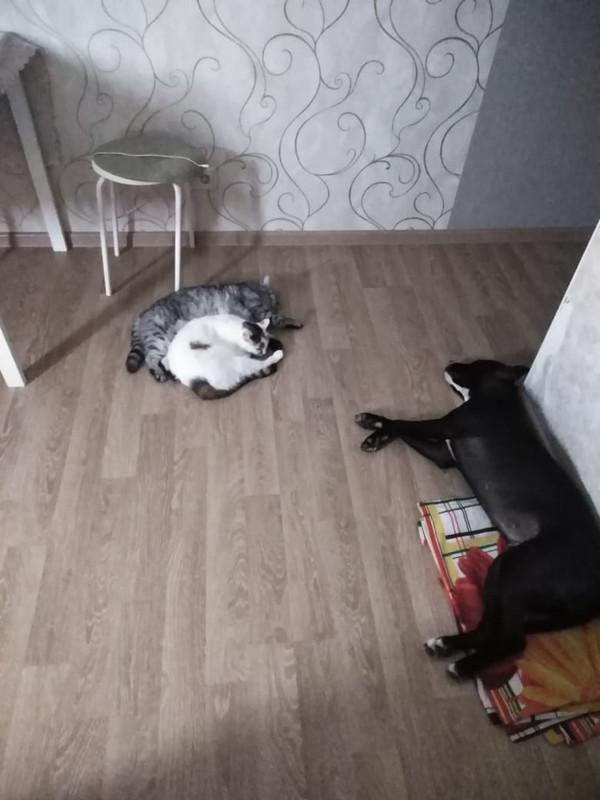 D86499E7-6711-48EB-84A0-7B6A8F96CC91