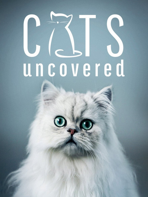Tajemné kočky / Cats Uncovered / CZ