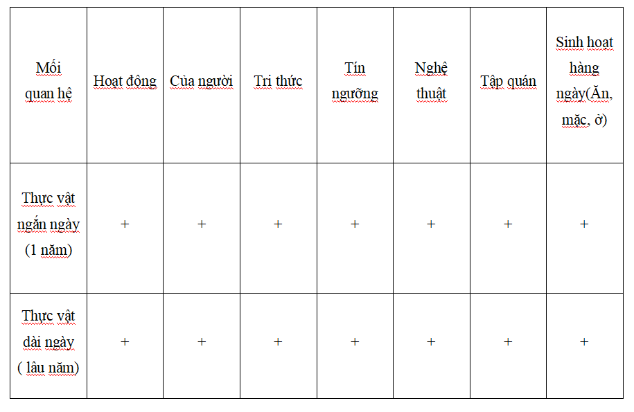 BẢNG ĐỐI CHIẾU