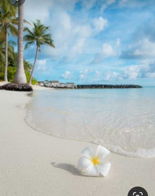 Screenshot_20230611_215452_Pinterest