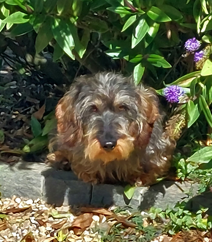 [Image: IMG-20250902-133516.jpg]