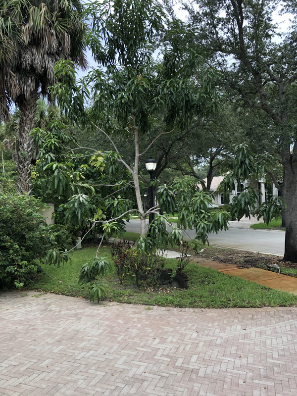 4DA2E3F5-40EF-43E2-A248-1DA294014E4B