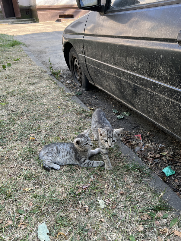 C3FE13BF-F95E-4DED-BD43-2918C681716C