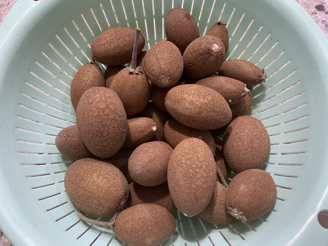 FC958DBD-A23A-4790-8B93-DFB24C3915A9