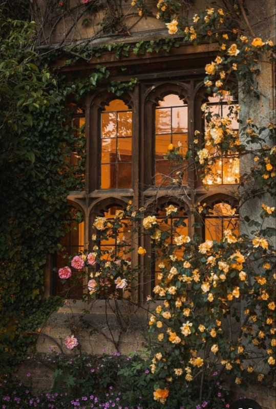 Screenshot_20240429_221027_Pinterest