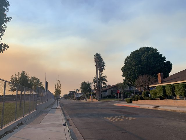 [Image: 1-C7-FBAF4-5377-4203-9-C86-2-F6002111-BDF.jpg]