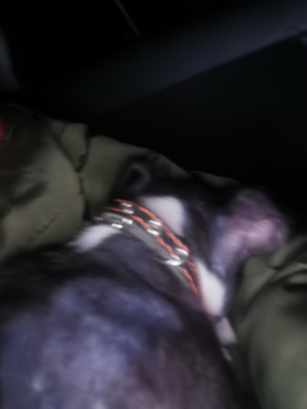 646A0A31-C4B3-41B5-8E38-CBD37DB9683D