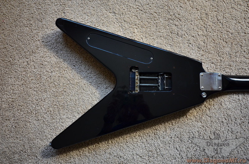 Fernandes_the_Function_Flying_V_exch_020