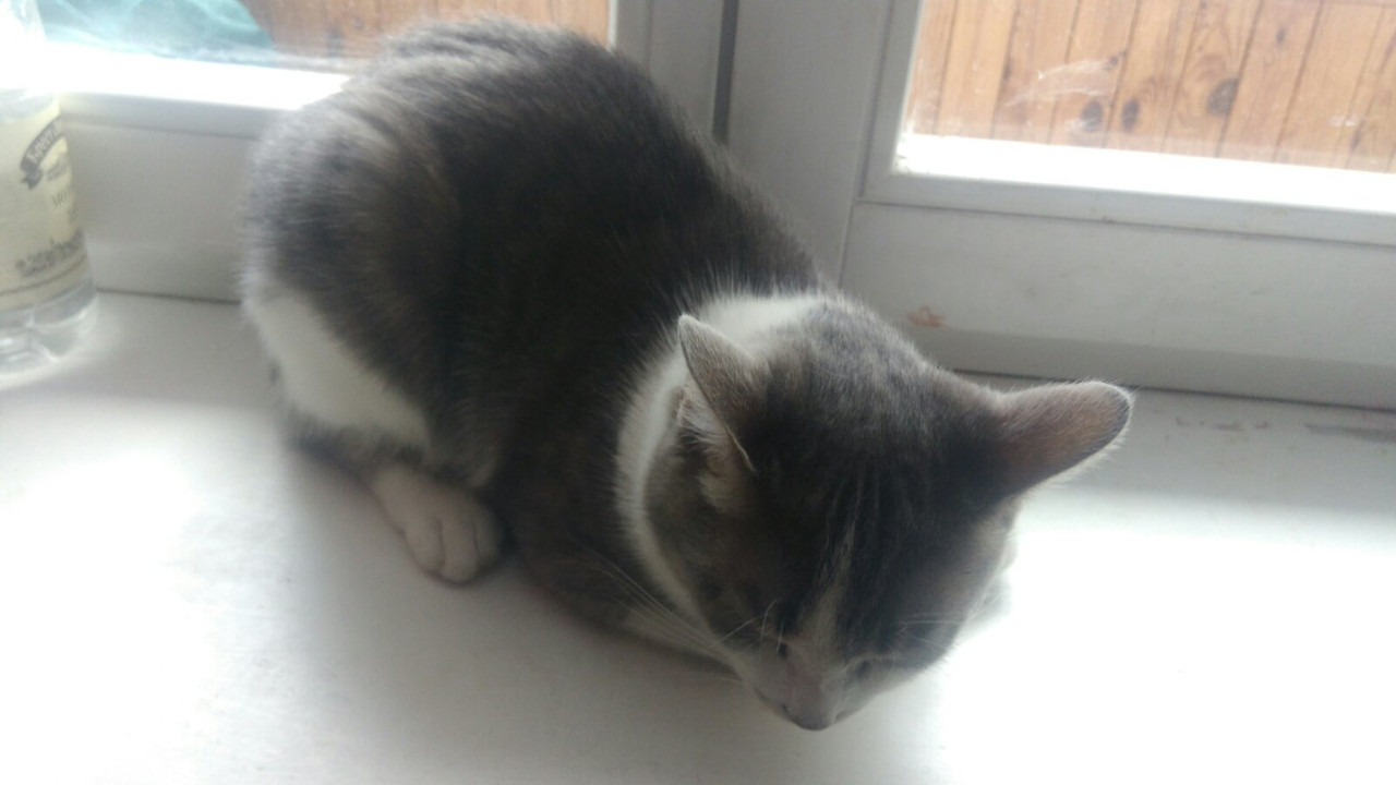 D6E002DC-84A5-49ED-BDCE-CAC62CE351C6