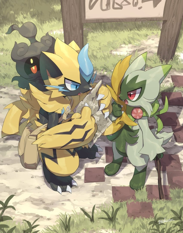 zeraora-marshadow-and-floragato-pokemon-