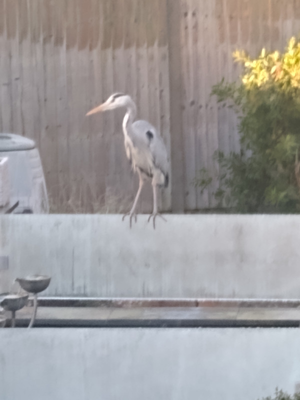 IMG_20220112_095045636