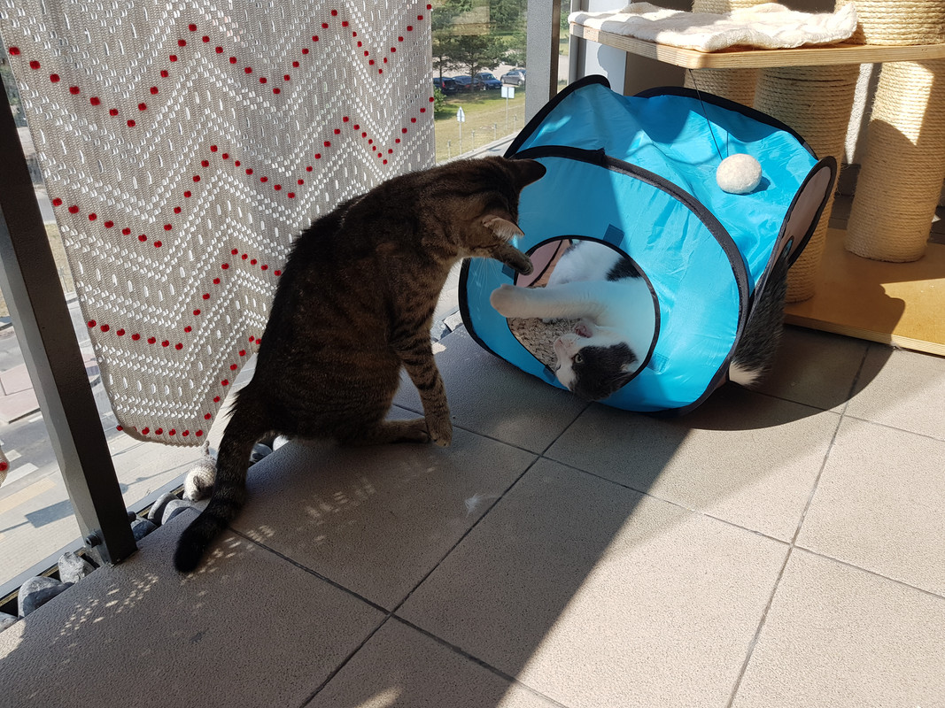 20190609-101241.jpg