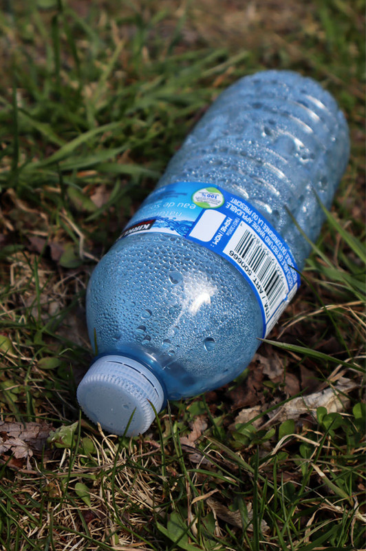 claireCabral_wabiSabi copy (4)