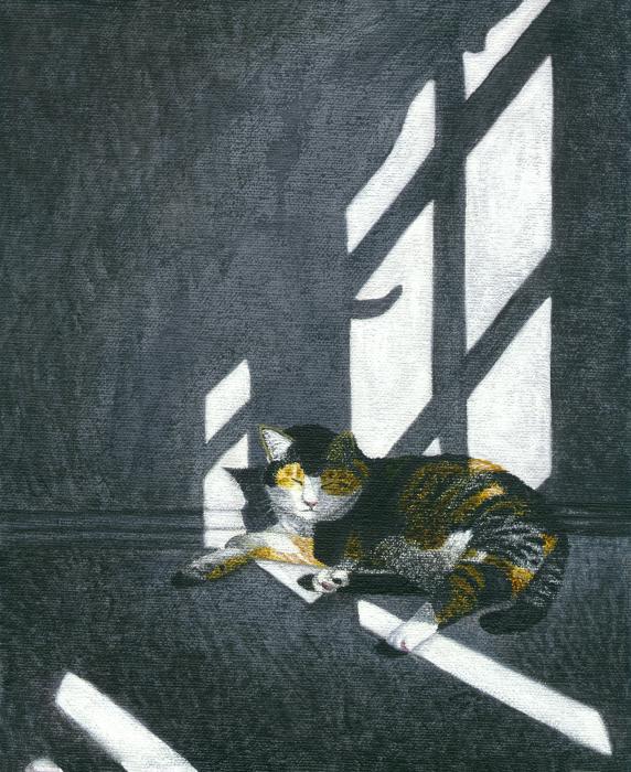 13-cat-in-empty-room-carol-wilson-004