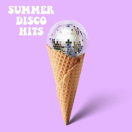 3c3791d2 f970 4eee 9f02 d82c8b3c4e96 - VA - Summer Disco Hits (2022)