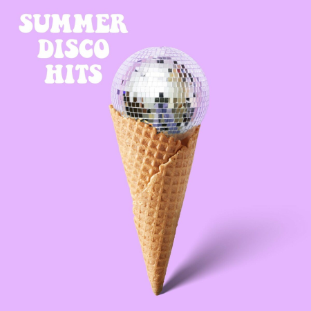 VA - Summer Disco Hits (2022)