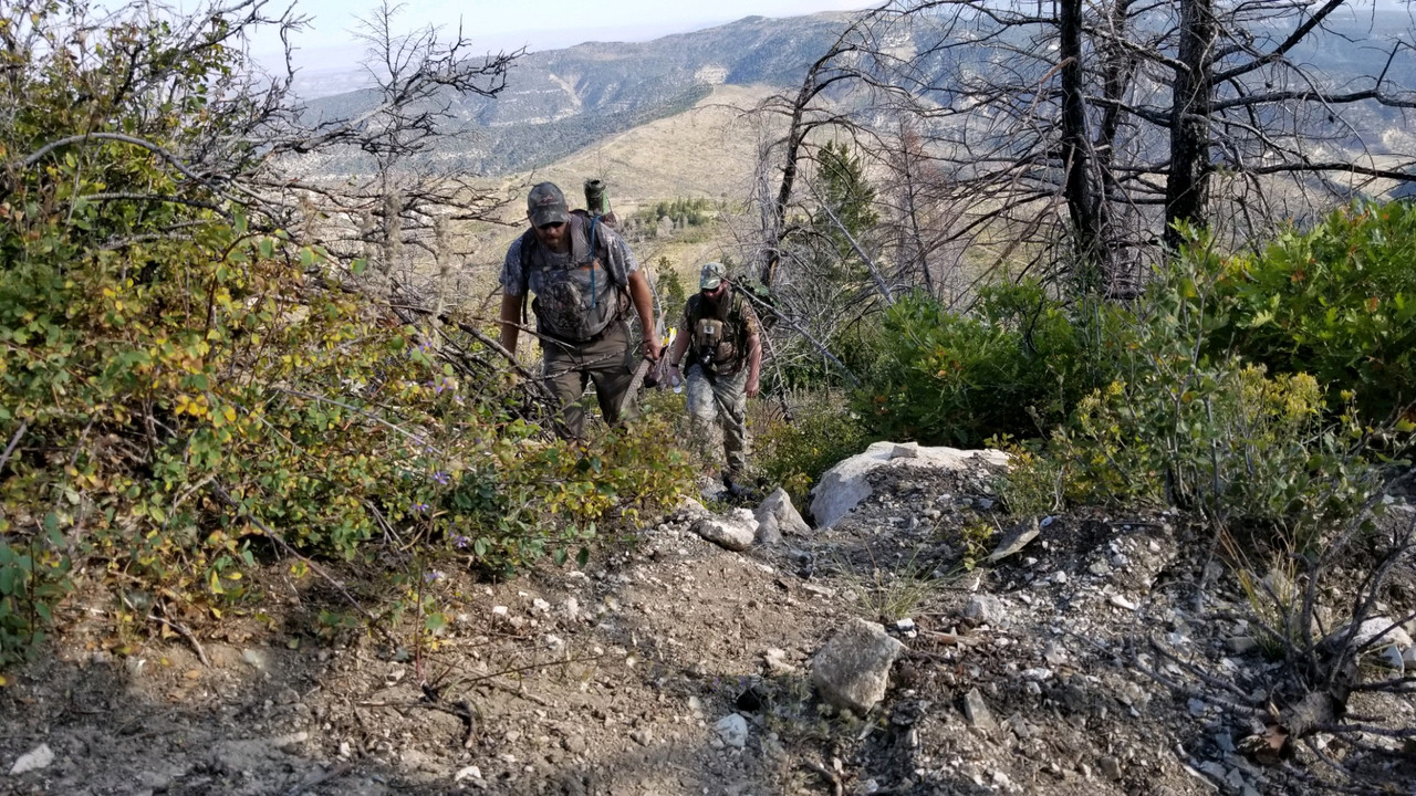 4D3C82DB-399A-4D43-BC7A-394E80FDB5CB