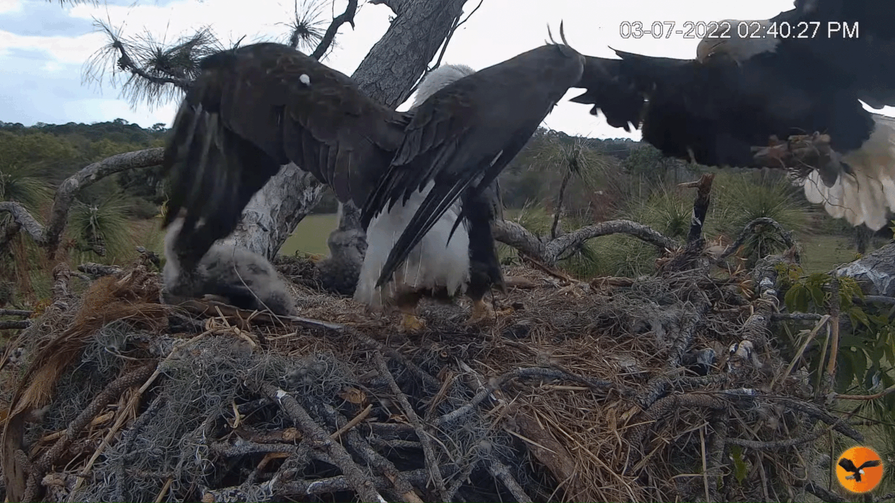 Webp.net-gifmaker (3)