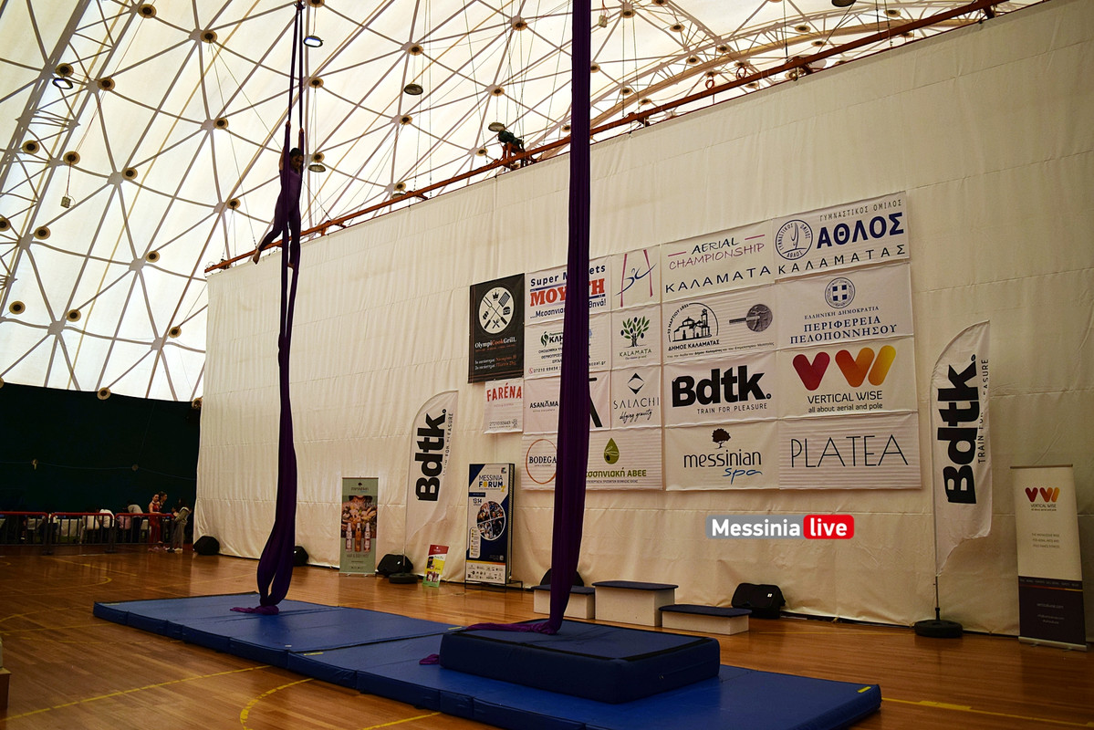 ΑΕΡΙΑΛDSC_0871