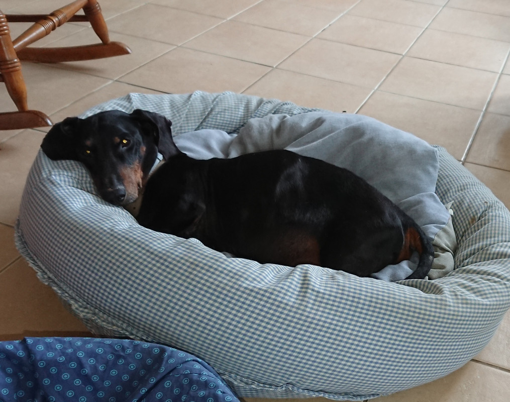 [Image: 20220626-190255.jpg]