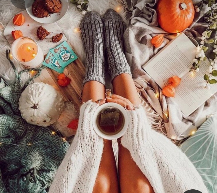 Screenshot_20230219_195352_Pinterest