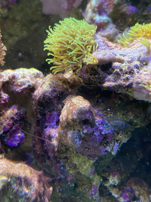 12C7A848-FF2B-4ABE-9598-D9316F340851