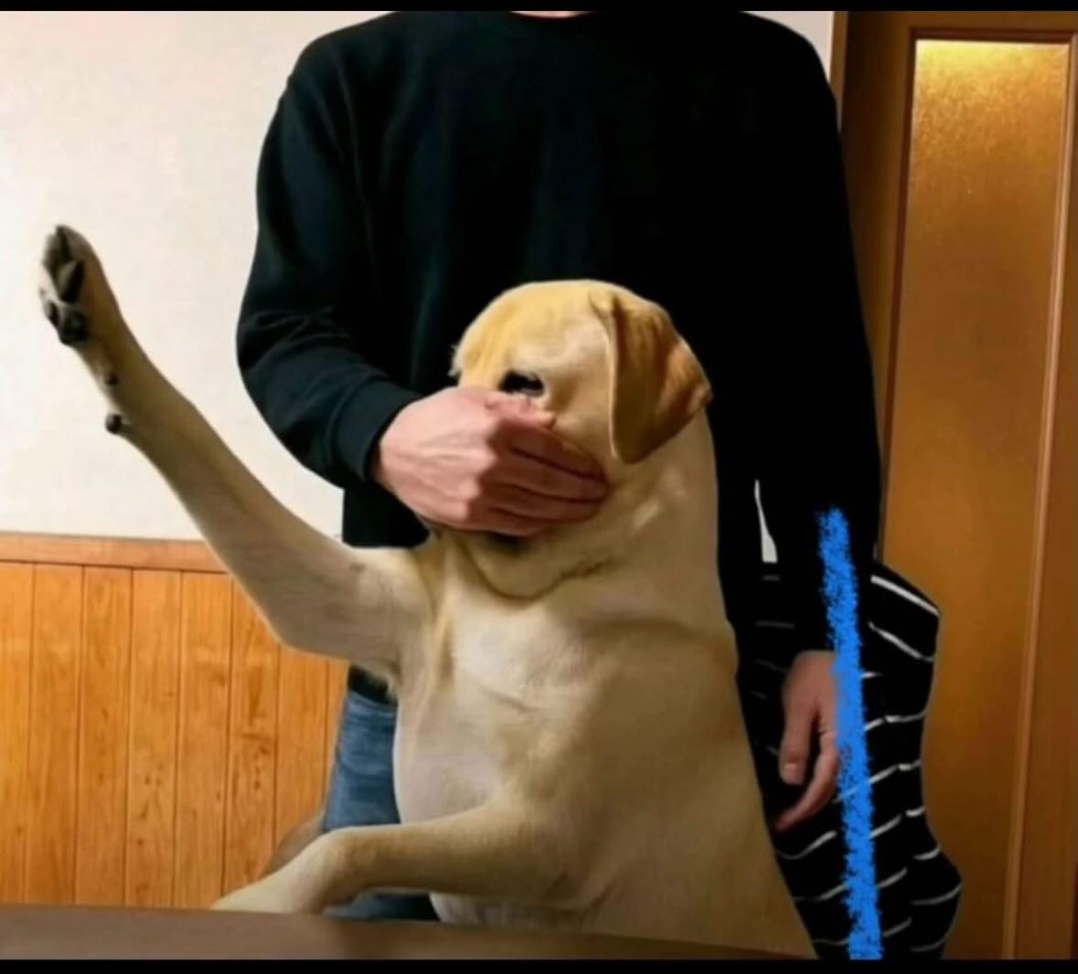 [Image: IMG-20260118-193733-507.jpg]