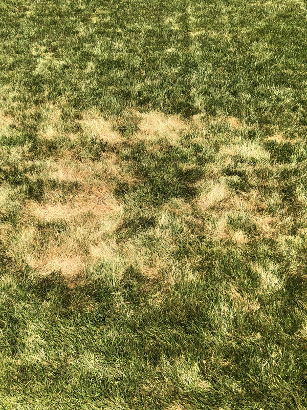 13A988D4-1992-4A79-9406-97953B631FD7