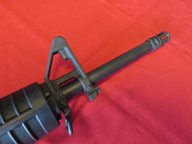 Waff-ank-Clearwater-065