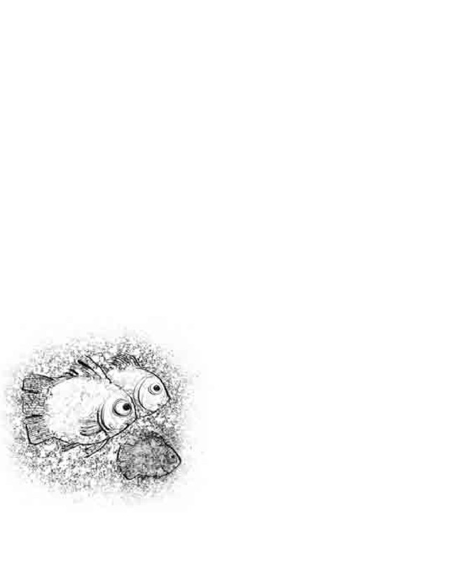 Усачёв А. - Приключения «Котобоя» - 2014-65-86_page-0002