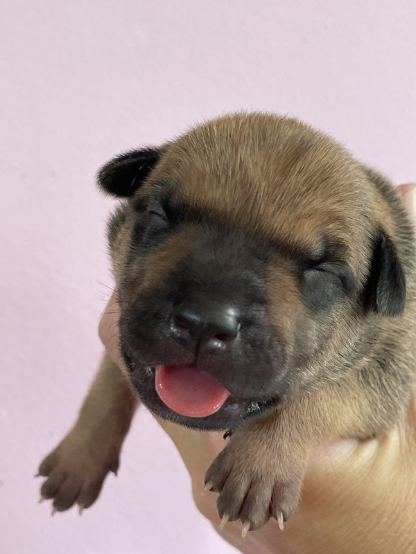 7C294261-3D06-4B32-826D-A157E7246BB8