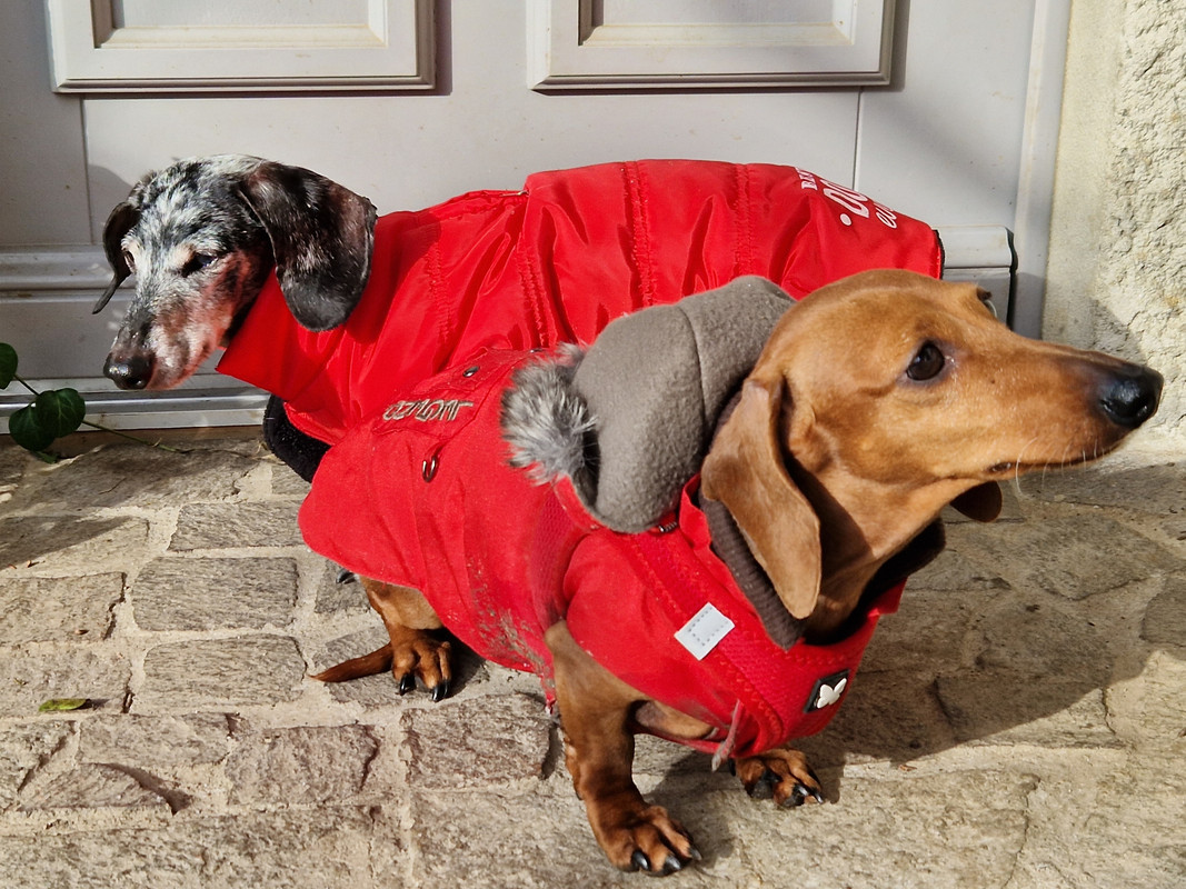 [Image: 20230120-131520.jpg]