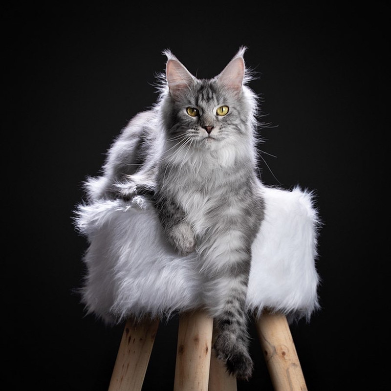 98A4F423-7E04-45BB-8FE7-D7B52FFFC527