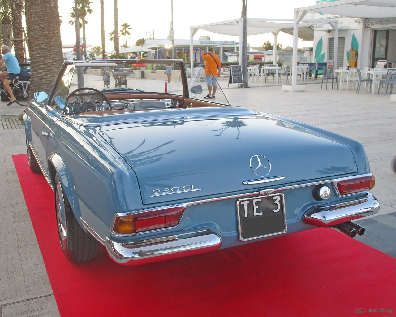 IMG-9126.jpg
