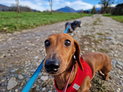 [Image: 20221228-145823.jpg]