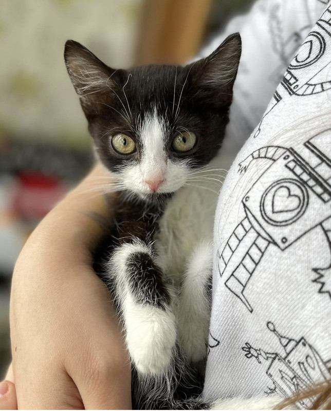 D54C5C92-7570-4609-BA8B-340713034E25